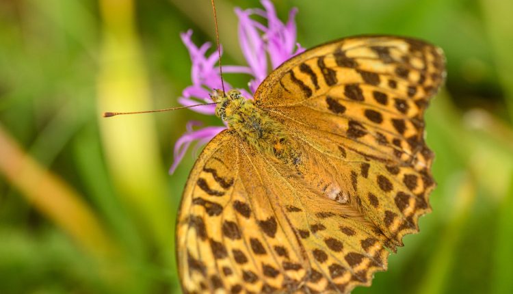yeni nesil dijital moda markalari ve basari hikayeleri